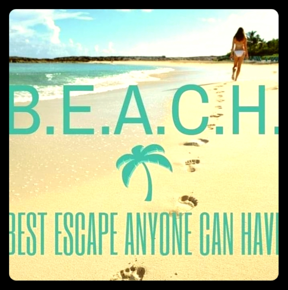 Meet your Posher, Tash